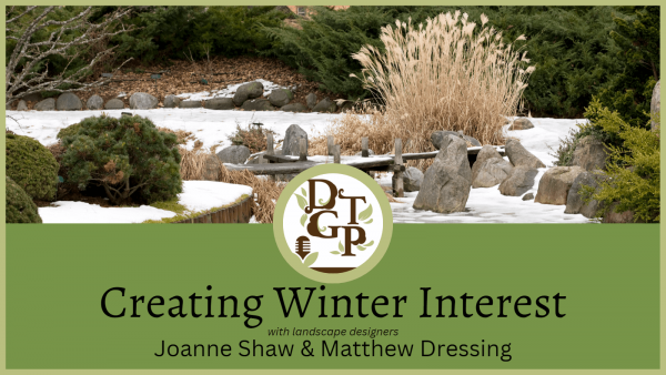 creating winter interest podcast image